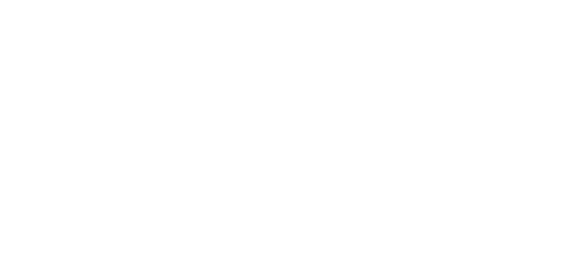 Afterpay_Logo_White